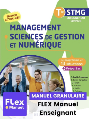 Le programme en situations - Management, Sciences de gestion et numérique Tle STMG (2022) - Pochette - FLEX manuel numérique granulaire enseignant