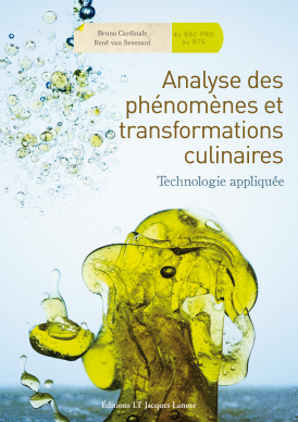 Analyse des phénomènes et transformations culinaires (2010)