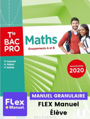 Maths - Groupements A et B - Tle Bac Pro (Ed. num. 2021) - Pochette - FLEX manuel numérique granulaire élève