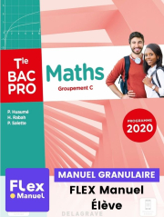 Maths - Groupement C - Tle Bac Pro (Ed. num. 2021) - Pochette - FLEX manuel numérique granulaire élève