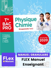 Physique - Chimie Tle Bac Pro G1, G2 (2021) - Pochette - FLEX manuel numérique granulaire enseignant