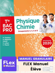 Physique - Chimie Tle Bac Pro G3, G4, G5, G6 (2021) - Pochette - FLEX manuel numérique granulaire élève