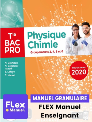 Physique - Chimie Tle Bac Pro G3, G4, G5, G6 (2021) - Pochette - FLEX manuel numérique granulaire enseignant
