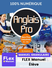 Anglais Pro - 30 situations pour les Bacs Pros industriels (2024) - Pochette - FLEX manuel numérique granulaire élève