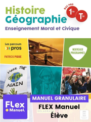 Histoire Géographie EMC 1re, Tle Bac Pro (Ed. num. 2021) - Pochette - FLEX manuel numérique granulaire élève